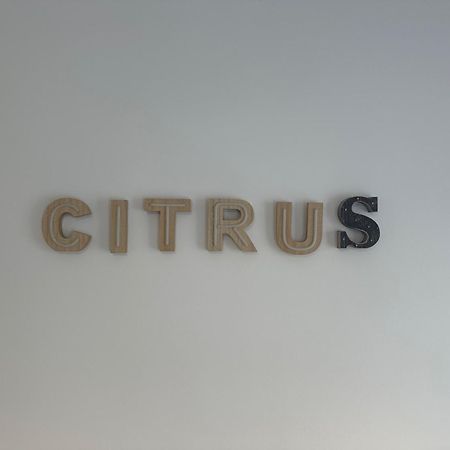 Citrus Suite By Alhaurin Loft City Center Alhaurín de la Torre Dış mekan fotoğraf