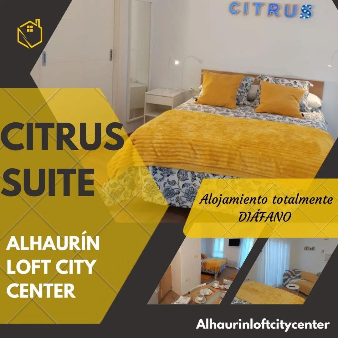 Citrus Suite By Alhaurin Loft City Center Alhaurín de la Torre Dış mekan fotoğraf