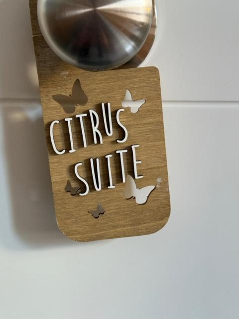 Citrus Suite By Alhaurin Loft City Center Alhaurín de la Torre Dış mekan fotoğraf