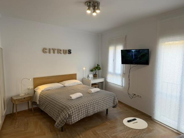 Citrus Suite By Alhaurin Loft City Center Alhaurín de la Torre Dış mekan fotoğraf
